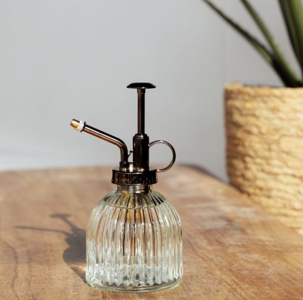 SUCCULENT MISTER DOME SHAPE