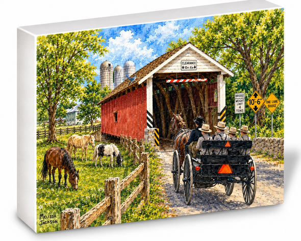 COVERED BRIDGE AND FAMILY SHELFIE-3D