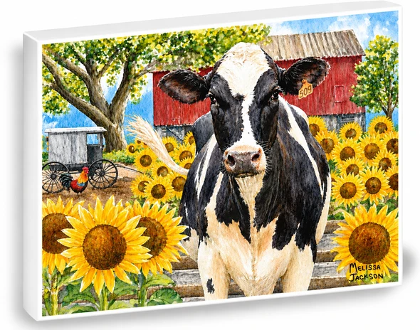 509 COW SHELFIE-3D