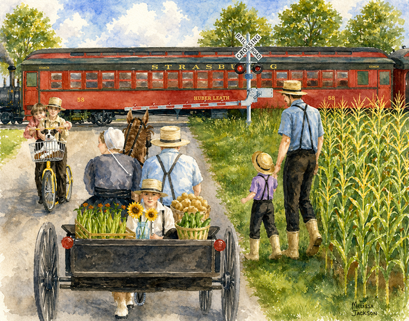 AMISH AND RAILROAD SHELFIE