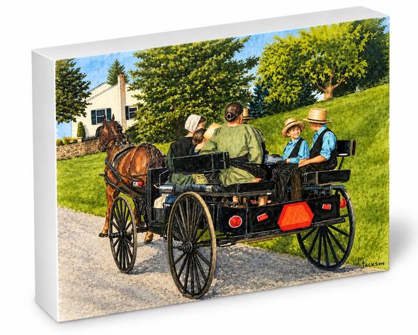 SUNDAY BUGGY RIDE SHELFIE-3D
