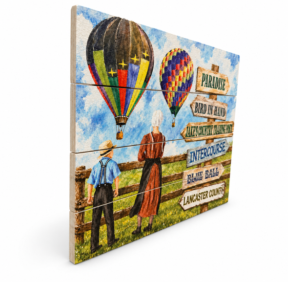 Amish Country Hot Air Balloons 9x12-3d
