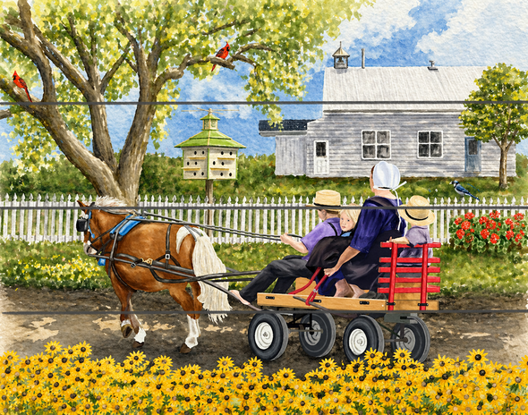 BLACK EYE SUSANS AND AMISH 9X12