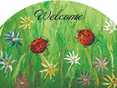 LADYBUG TWO SMALL SLIDER PLAQUE