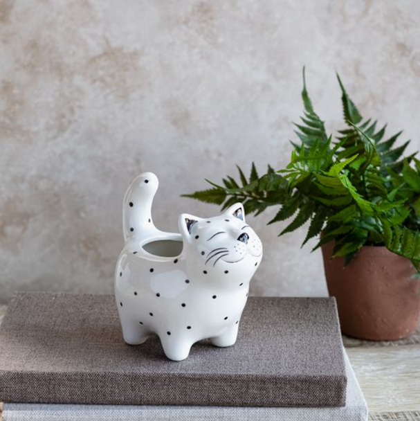 6" SPOTTED CAT PLANTER