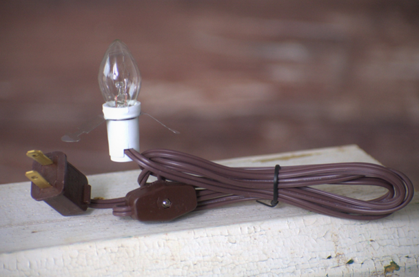 Clip Light with Bulb