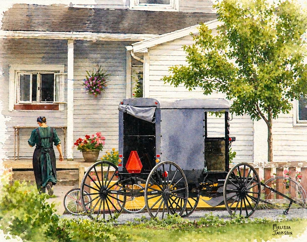 AMISH HOME AND BUGGY SHELFIE