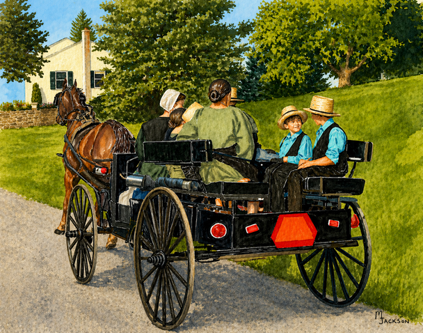 SUNDAY BUGGY RIDE SHELFIE