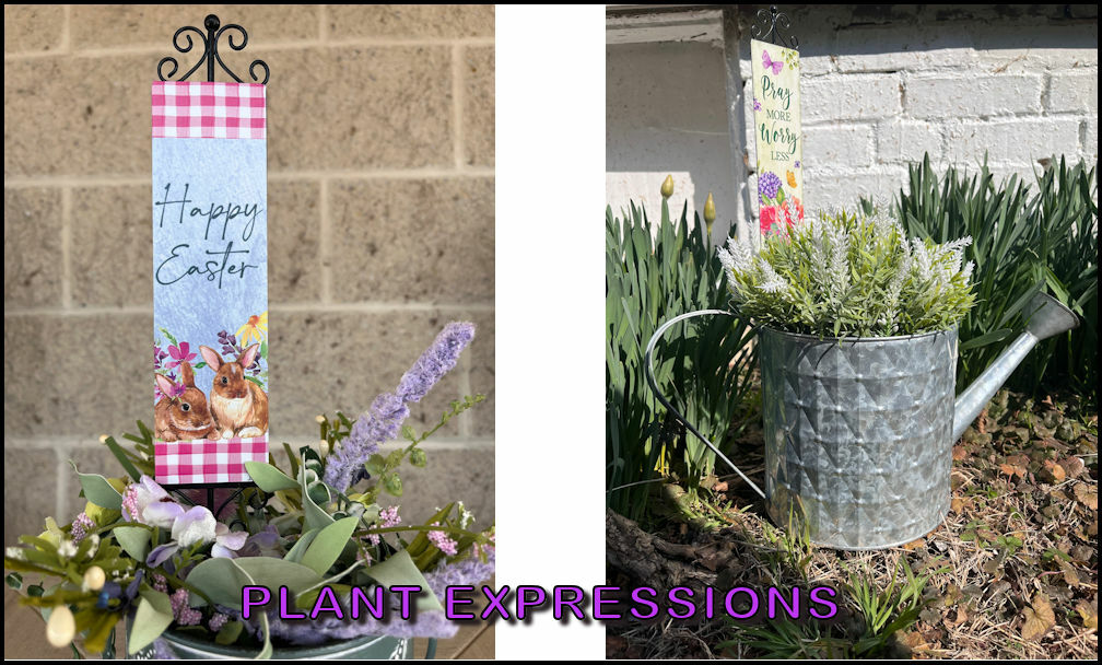 PLANT EXPRESSIONS DISPLAY1