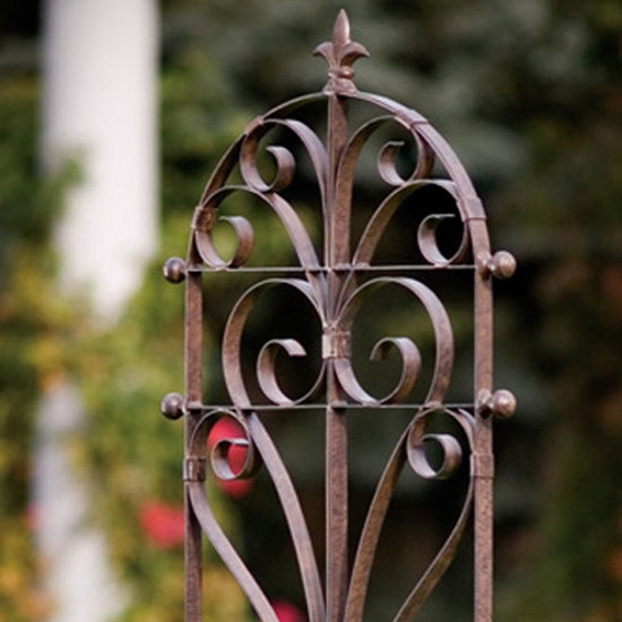 Trellises & Topiaries