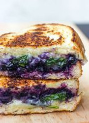 BALSAMIC BLUEBERRY GRILLED CHEESE SANDWICH 