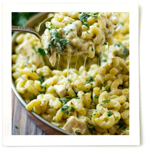 KALE PESTO WHITE CHEDDAR SAUCE - Keto, Gluten Free - 6 Pack