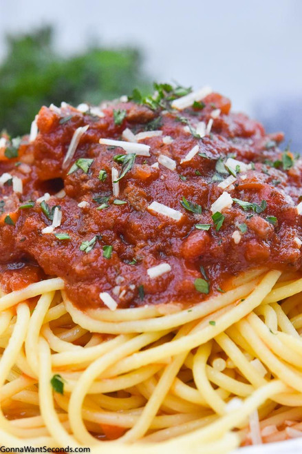 Mantova Organic Spaghetti Pasta - Non-GMO Italian Imported Pasta - 1 lb - Pack of 6