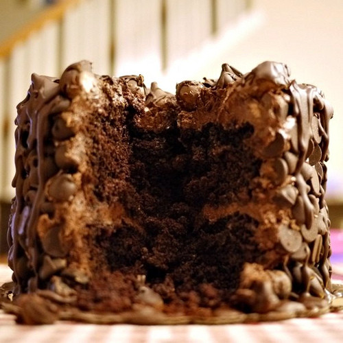 Chocolate Wasted Cake - (Free Recipe below)