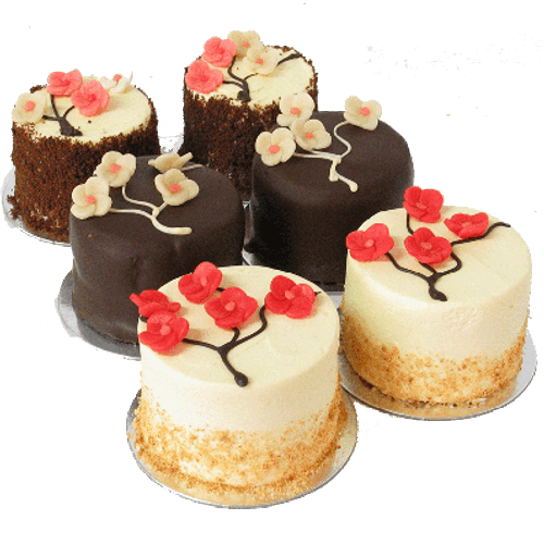 Cherry Blossom Mini Cake Sampler - Six Included