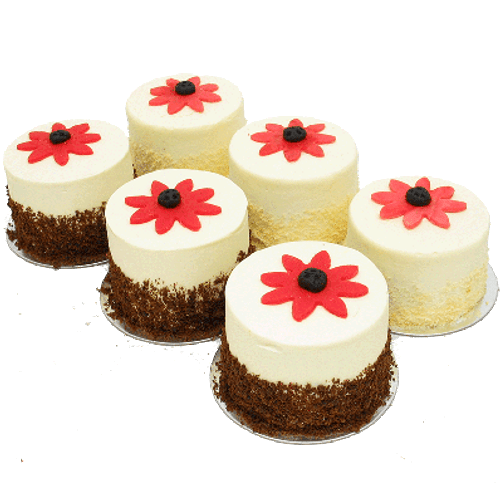 Amazing Daisy Mini Cakes - Six Included