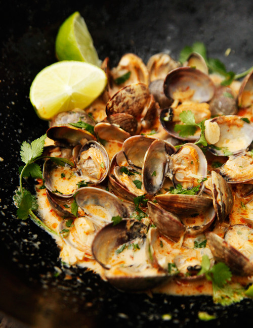 Red Curry, Coconut, and Ginger Infused Steamed Clams - (Free Recipe below)