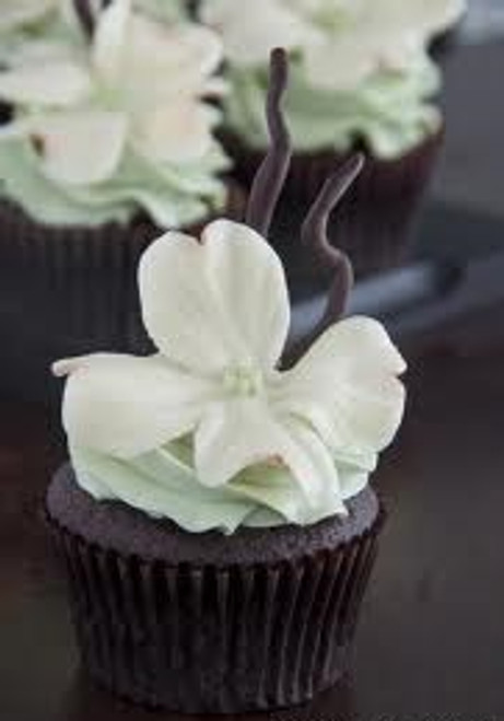 Dogwood Flower Chocolate Cupcakes - One Dozen