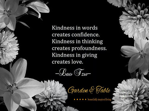 Kindness in Giving #Quotes