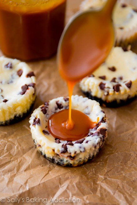 Mini Salted Caramel Chocolate Chip Cheesecakes - (Free Recipe below)