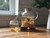 Kind Cantaloupe (Edible Fruit Tea) - 6 packs Kind Cantaloupe (Edible Fruit Tea) - 6 packs