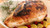 FARM HOLIDAY TRADITION - Organic Whole Turkey & 1/2 Ham