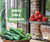 Hatch Green Chile Salsa by My Brother's Salsa - 3 Pack - Small Batch