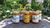 Blue Moon Goodness Mixed 1/2 Case Soup: 6 Jars of Your Choosing - GF, V