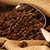 Barista's Choice Bundle - Coffee - Ferris Coffee & Nut