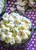 ThinSlim Foods Impastable Low Carb Pasta Shells
