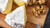 Creamy Brie Goat Cheese