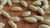 Fresh Macarrones di Ungia Pasta - Vegan - Vegan