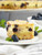 WindsorDale Blueberry Cheese