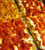 Frescobene Marinara Sauce - includes 6 - Vegetarian