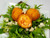 Buffalo Chicken Mac & Cheese Popper /Bites - 60/Case