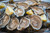 Live Fresh Wellfleet Oysters - 1 Dozen
