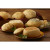 Sourdough Mini Boule Bread Bowl - 6.5 oz - 40 per case
