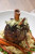 Hatfield Red's Legendary Ribeez Fully Cooked 1/2 Pork Shank - 12 lb