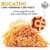 Morelli Bucatini Organic Durum Wheat Semolina Italian Pasta - Pack of 2