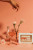 Teaspressa INSTANT CHAMPAGNE KIT
