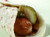 Bjørken Norwegian Lomper Potato Cakes  - includes 10