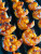 Marinated Korean Bbq Shrimp - 1 lb