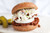 Silver Hills Organic Sprouted Whole Wheat Plain Hamburger Buns - 6/Case