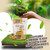 TATA RAW - Organic Sprouted Maple Walnuts - Turmeric, Ginger - 1 lb