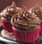 Gluten Free Chocolate Cake Gourmet Cake Mix - Non-GMO, Kosher, Rice Free, Soy Free, Dairy Free, Peanut Free, No Preservatives, No Artificial Flavors or Colors - 19.5 oz
