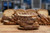 Organic Sprouted Whole Rye Bread - 26 oz