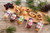 Goat cheese by Celebrity Variety - includes Fig, Cranberry Cinnamon, Honey, Blueberry Cinnamon, Original, and Garlic Herb Goat Cheese - 4 oz - Pack of 6