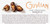 GuyLian Belgian Chocolate Seashells Gift Box - 22 Pieces - Milk Chocolate with Hazelnut Praliné Filling