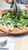 Happie Combo Case - Cheese Pizzas & Organic Sprouted Spelt Crusts