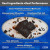 Primal Power Liver Powered Nutrition Bars, Chocolate Almond Sea Salt - B12 Energy Boost, 10g Protein, Vitamins, Minerals, Collagen, Zero Added Sugar, Gluten Free - Pack of 12